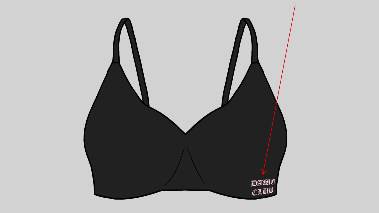 Virtue Bra